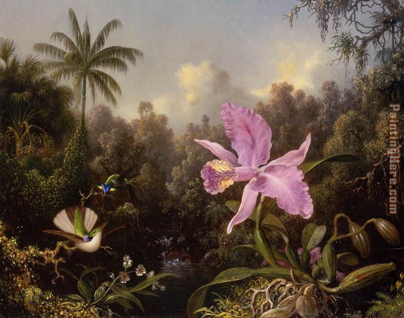 Orchid and Two Hummingburds